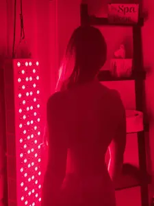 red light 2