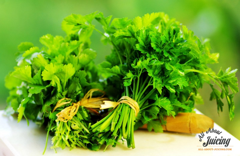 detox by juicing parsley and cilantro