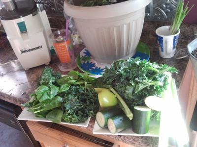Juicing for 40 days (just 10 days four times)