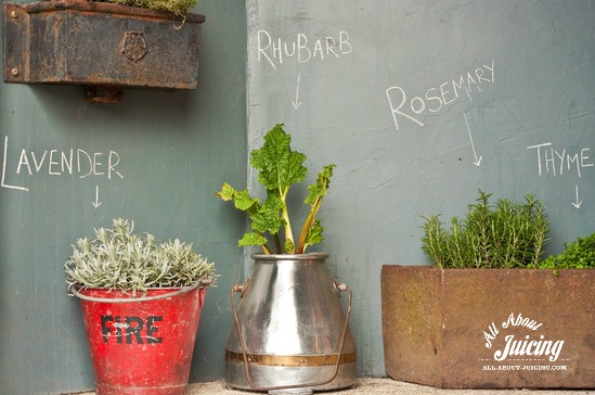 using herbs in juice