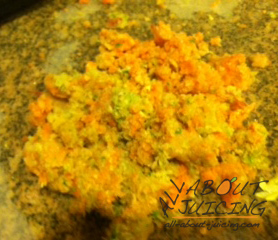 dry pulp from power grind pro juicer