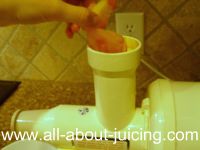 feeding sorbet into juice