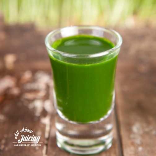 Wheatgrass Shots